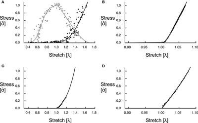 The Energy of Muscle Contraction. I. Tissue Force and Deformation During Fixed-End Contractions